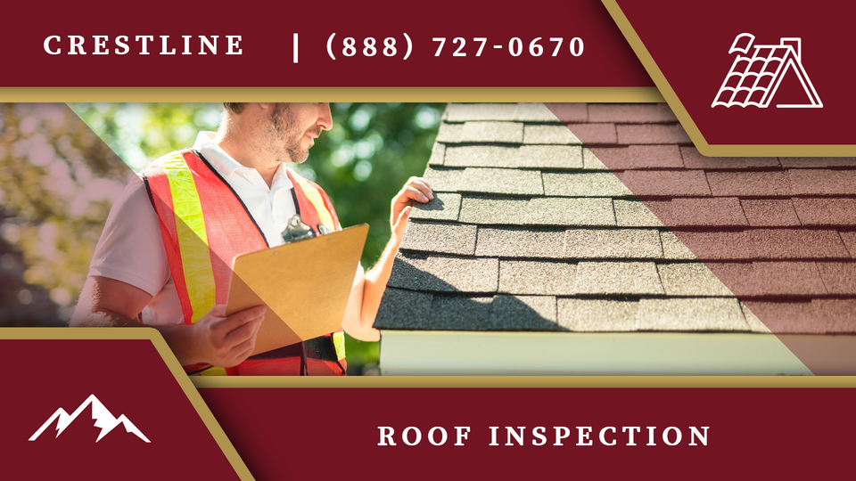 Roof Inspection