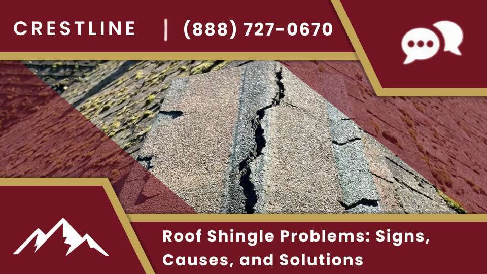 Roof Shingle Problems_ Signs, Causes, and Solutions